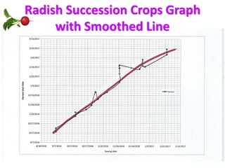 Radish Succession Crops Graph
with Smoothed Line
 