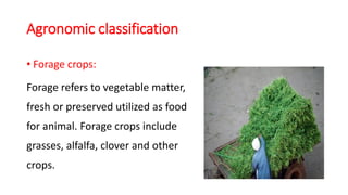 • Forage crops:
Forage refers to vegetable matter,
fresh or preserved utilized as food
for animal. Forage crops include
gr...