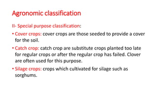 II- Special purpose classification:
• Cover crops: cover crops are those seeded to provide a cover
for the soil.
• Catch c...