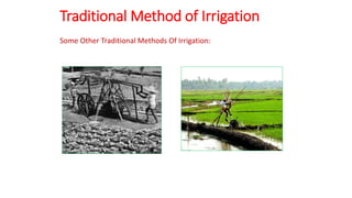Traditional Method of Irrigation
Some Other Traditional Methods Of Irrigation:
 