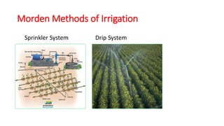 Morden Methods of Irrigation
Sprinkler System Drip System
 