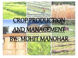 CROP PRODUCTION
AND MANAGEMENT
BY-: MOHIT MANOHAR
 