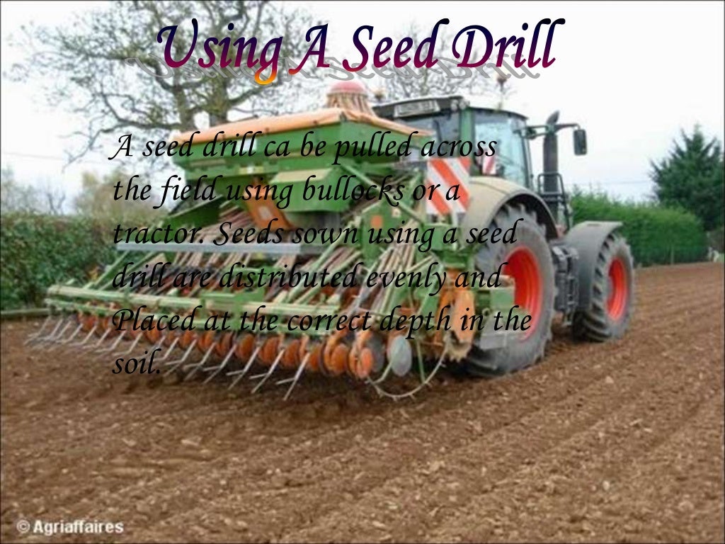 CROP PRODUCTION AND MANAGEMENT