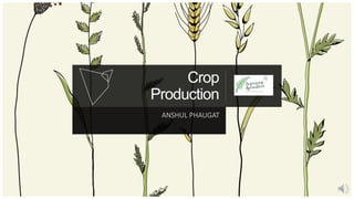 Crop
Production
ANSHUL PHAUGAT
 