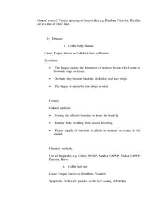 General control: Timely spraying of insecticides e.g. Dursban, Dictofos, Dieldrin
etc at a rate of 1litre/ hact.
b) Diseases
i. Coffee berry disease
Cause: Fungus known as Collelotrichum coffeanum
Symptoms:
 The fungus causes the formation of necrotic lesion which turns to
brownish rings on leaves.
 On fruits they become blackish, skrikelled and later drops.
 The fungus is spread by rain drops or wind.
Control:
Cultural methods:
 Pruning the affected branches to lower the humidity.
 Remove fruits resulting from season flowering.
 Proper supply of nutrients to plants to increase resistance to the
disease.
Chemical methods:
Use of fungicides e.g. Cobox 500WP, Sandox 500WP, Nodox 500WP,
Perenox, Bravo.
ii. Coffee leaf rust
Cause: Fungus known as Hemilleria Vastatrix
Symptoms: Yellowish pustules on the leaf causing defoliation.
 