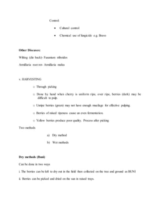 Control:
 Cultural control
 Chemical use of fungicide e.g. Bravo
Other Diseases:
Wilting (die back)- Fusanium stiboides
Armillaria root rot- Armillaria melea
v. HARVESTING
o Through picking
o Done by hand when cherry is uniform ripe, over ripe, berries (dark) may be
difficult to pulp.
o Unripe berries (green) may not have enough mucilage for effective pulping.
o Berries of mixed ripeness cause un even fermentation.
o Yellow berries produce poor quality. Process after picking
Two methods
a) Dry method
b) Wet methods
Dry methods (Buni)
Can be done in two ways
i. The berries can be left to dry out in the field then collected on the tree and ground as BUNI
ii. Berries can be picked and dried on the sun in raised trays.
 