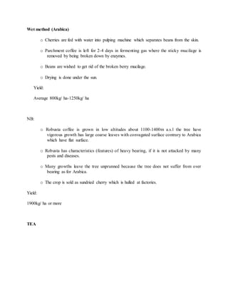 Wet method (Arabica)
o Cherries are fed with water into pulping machine which separates beans from the skin.
o Parchment coffee is left for 2-4 days in fermenting gas where the sticky mucilage is
removed by being broken down by enzymes.
o Beans are wished to get rid of the broken berry mucilage.
o Drying is done under the sun.
Yield:
Average 800kg/ ha-1250kg/ ha
NB:
o Robusta coffee is grown in low altitudes about 1100-1400m a.s.l the tree have
vigorous growth has large coarse leaves with convagated surface contrary to Arabica
which have flat surface.
o Robusta has characteristics (features) of heavy bearing, if it is not attacked by many
pests and diseases.
o Many growths leave the tree unprunned because the tree does not suffer from over
bearing as for Arabica.
o The crop is sold as sundried cherry which is hulled at factories.
Yield:
1900kg/ ha or more
TEA
 