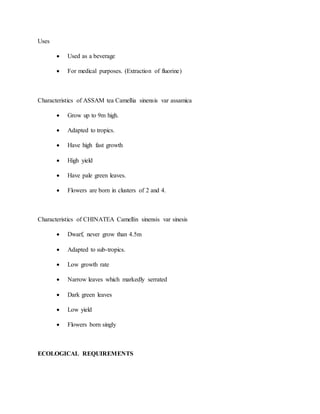 Uses
 Used as a beverage
 For medical purposes. (Extraction of fluorine)
Characteristics of ASSAM tea Camellia sinensis var assamica
 Grow up to 9m high.
 Adapted to tropics.
 Have high fast growth
 High yield
 Have pale green leaves.
 Flowers are born in clusters of 2 and 4.
Characteristics of CHINATEA Camellin sinensis var sinesis
 Dwarf, never grow than 4.5m
 Adapted to sub-tropics.
 Low growth rate
 Narrow leaves which markedly serrated
 Dark green leaves
 Low yield
 Flowers born singly
ECOLOGICAL REQUIREMENTS
 