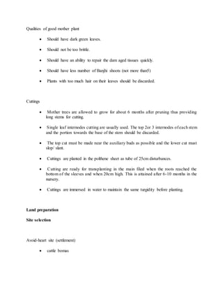 Qualities of good mother plant
 Should have dark green leaves.
 Should not be too brittle.
 Should have an ability to repair the dam aged tissues quickly.
 Should have less number of Banjhi shoots (not more than5)
 Plants with too much hair on their leaves should be discarded.
Cuttings
 Mother trees are allowed to grow for about 6 months after pruning thus providing
long stems for cutting.
 Single leaf internodes cutting are usually used. The top 2or 3 internodes of each stem
and the portion towards the base of the stem should be discarded.
 The top cut must be made near the auxiliary buds as possible and the lower cut must
slop/ slant.
 Cuttings are planted in the polthene sheet as tube of 25cm disturbances.
 Cutting are ready for transplanting in the main filed when the roots reached the
bottom of the sleeves and when 20cm high. This is attained after 6-10 months in the
nursery.
 Cuttings are immersed in water to maintain the same turgidity before planting.
Land preparation
Site selection
Avoid-heart site (settlement)
 cattle bomas
 