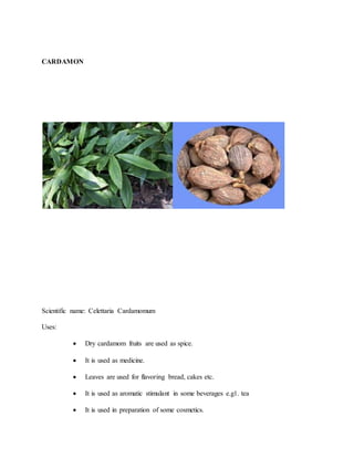 CARDAMON
Scientific name: Celettaria Cardamomum
Uses:
 Dry cardamom fruits are used as spice.
 It is used as medicine.
 Leaves are used for flavoring bread, cakes etc.
 It is used as aromatic stimulant in some beverages e.g1. tea
 It is used in preparation of some cosmetics.
 