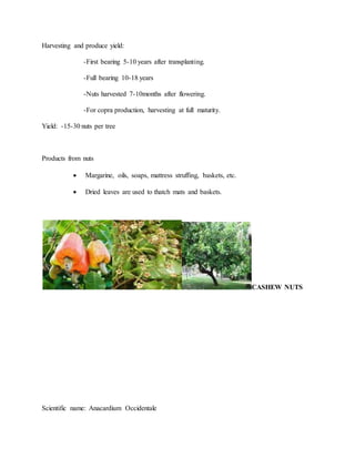 Harvesting and produce yield:
-First bearing 5-10 years after transplanting.
-Full bearing 10-18 years
-Nuts harvested 7-10months after flowering.
-For copra production, harvesting at full maturity.
Yield: -15-30 nuts per tree
Products from nuts
 Margarine, oils, soaps, mattress struffing, baskets, etc.
 Dried leaves are used to thatch mats and baskets.
CASHEW NUTS
Scientific name: Anacardium Occidentale
 