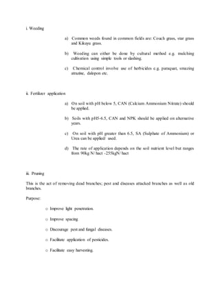 i. Weeding
a) Common weeds found in common fields are: Couch grass, star grass
and Kikuyu grass.
b) Weeding can either be done by cultural method e.g. mulching
cultivation using simple tools or slashing.
c) Chemical control involve use of herbicides e.g. paraquat, smazing
atrazine, dalopon etc.
ii. Fertilizer application
a) On soil with pH below 5, CAN (Calcium Ammonium Nitrate) should
be applied.
b) Soils with pH5-6.5, CAN and NPK should be applied on alternative
years.
c) On soil with pH greater than 6.5, SA (Sulphate of Ammonium) or
Urea can be applied/ used.
d) The rate of application depends on the soil nutrient level but ranges
from 90kg N/ hact -255kgN/ hact
iii. Pruning
This is the act of removing dead branches; pest and diseases attacked branches as well as old
branches.
Purpose:
o Improve light penetration.
o Improve spacing
o Discourage pest and fungal diseases.
o Facilitate application of pesticides.
o Facilitate easy harvesting.
 