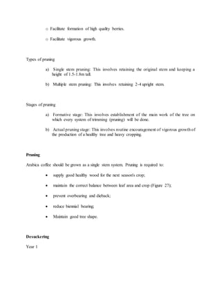 o Facilitate formation of high quality berries.
o Facilitate vigorous growth.
Types of pruning
a) Single stem pruning: This involves retaining the original stem and keeping a
height of 1.5-1.8m tall.
b) Multiple stem pruning: This involves retaining 2-4 upright stem.
Stages of pruning
a) Formative stage: This involves establishment of the main work of the tree on
which every system of trimming (pruning) will be done.
b) Actual pruning stage: This involves routine encouragement of vigorous growth of
the production of a healthy tree and heavy cropping.
Pruning
Arabica coffee should be grown as a single stem system. Pruning is required to:
 supply good healthy wood for the next season's crop;
 maintain the correct balance between leaf area and crop (Figure 27);
 prevent overbearing and dieback;
 reduce biennial bearing;
 Maintain good tree shape.
Desuckering
Year 1
 