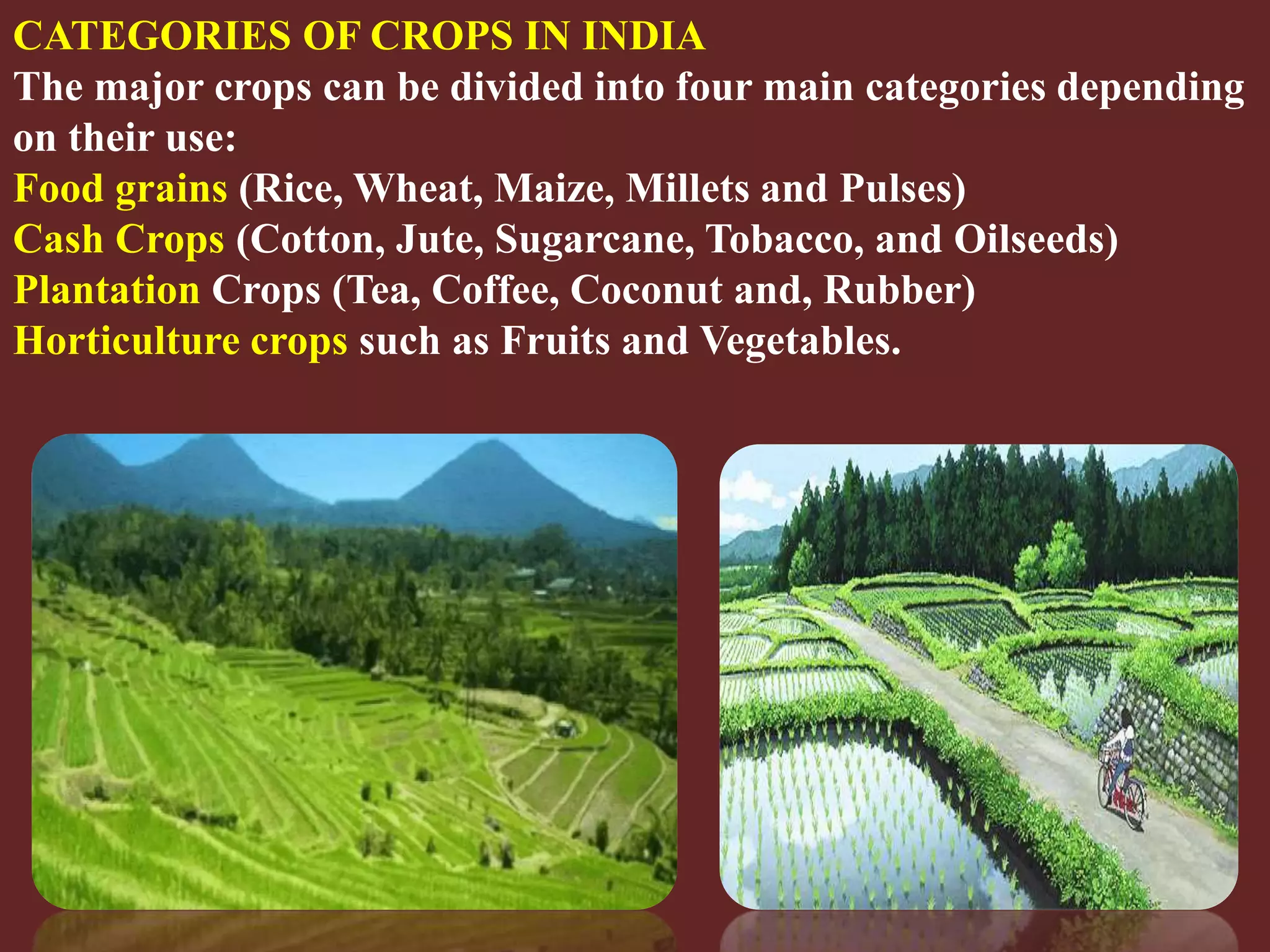 Slide 11