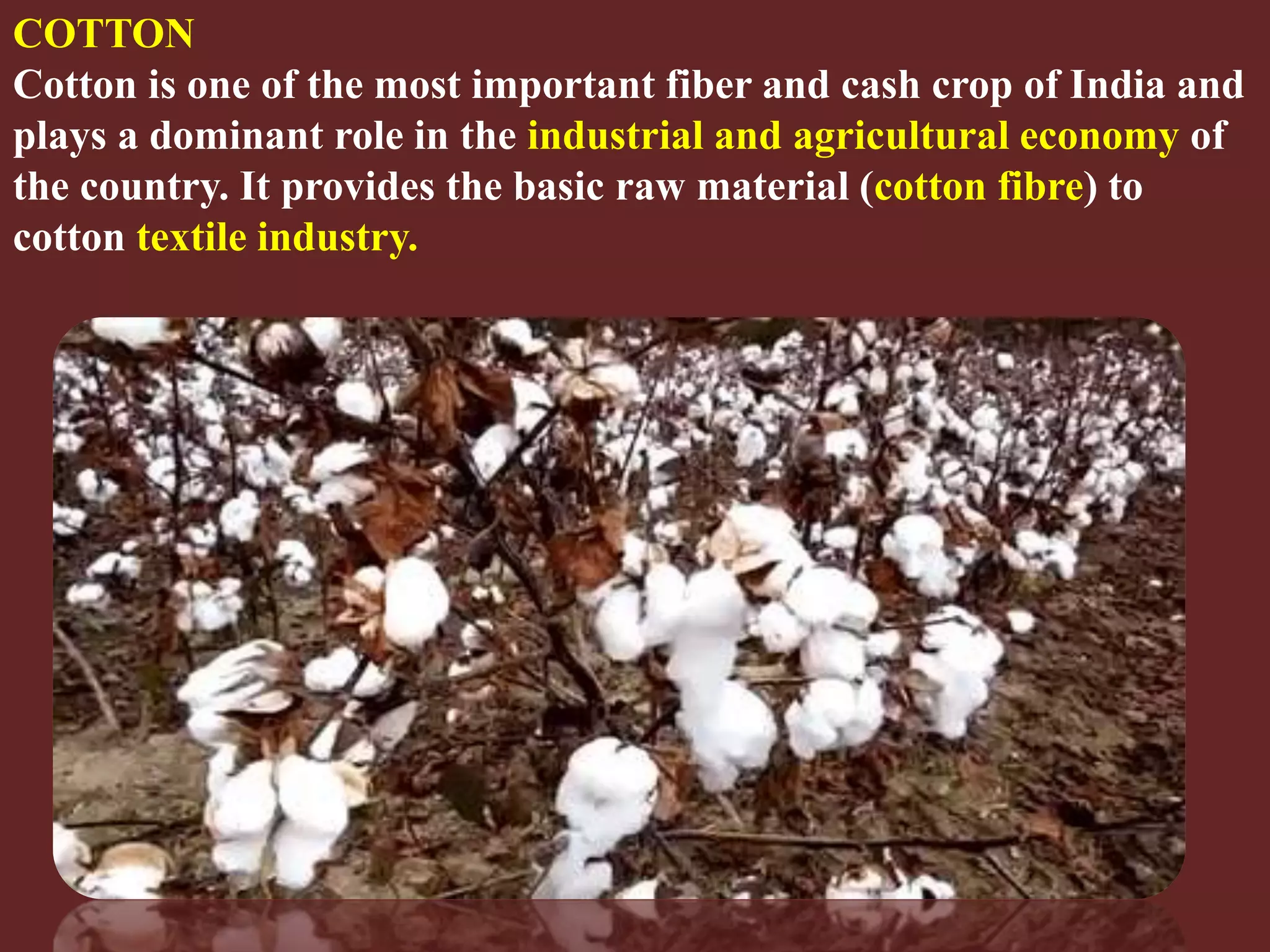 Slide 23