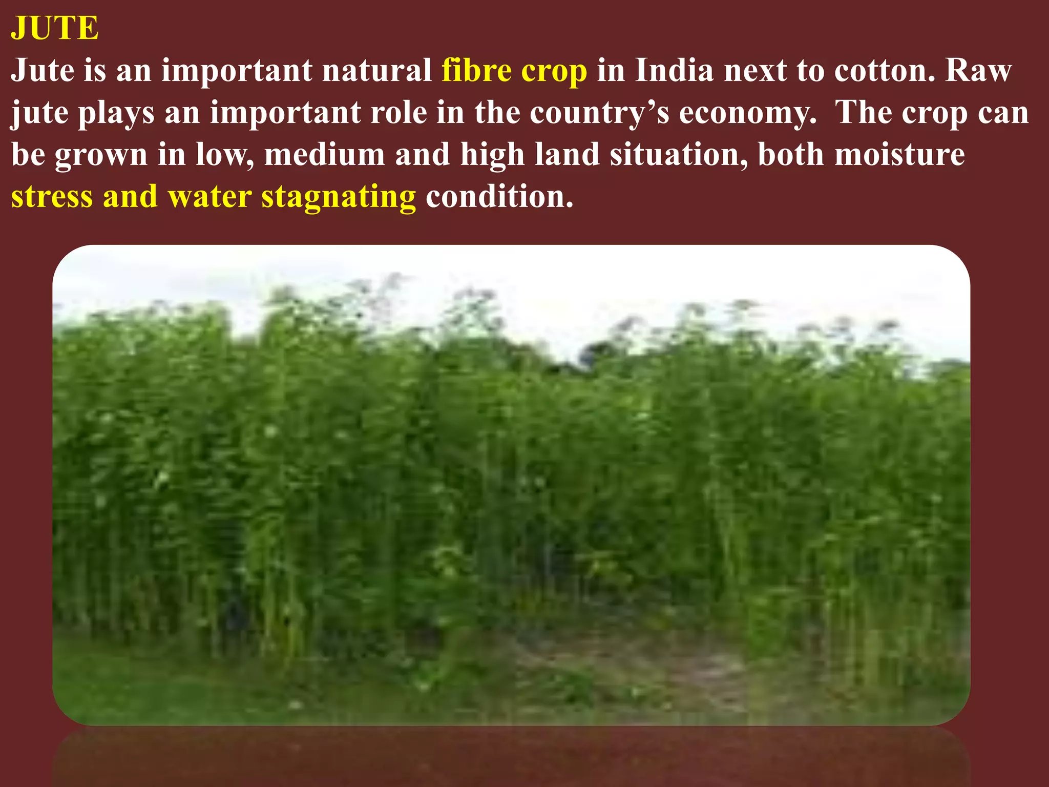 Slide 25