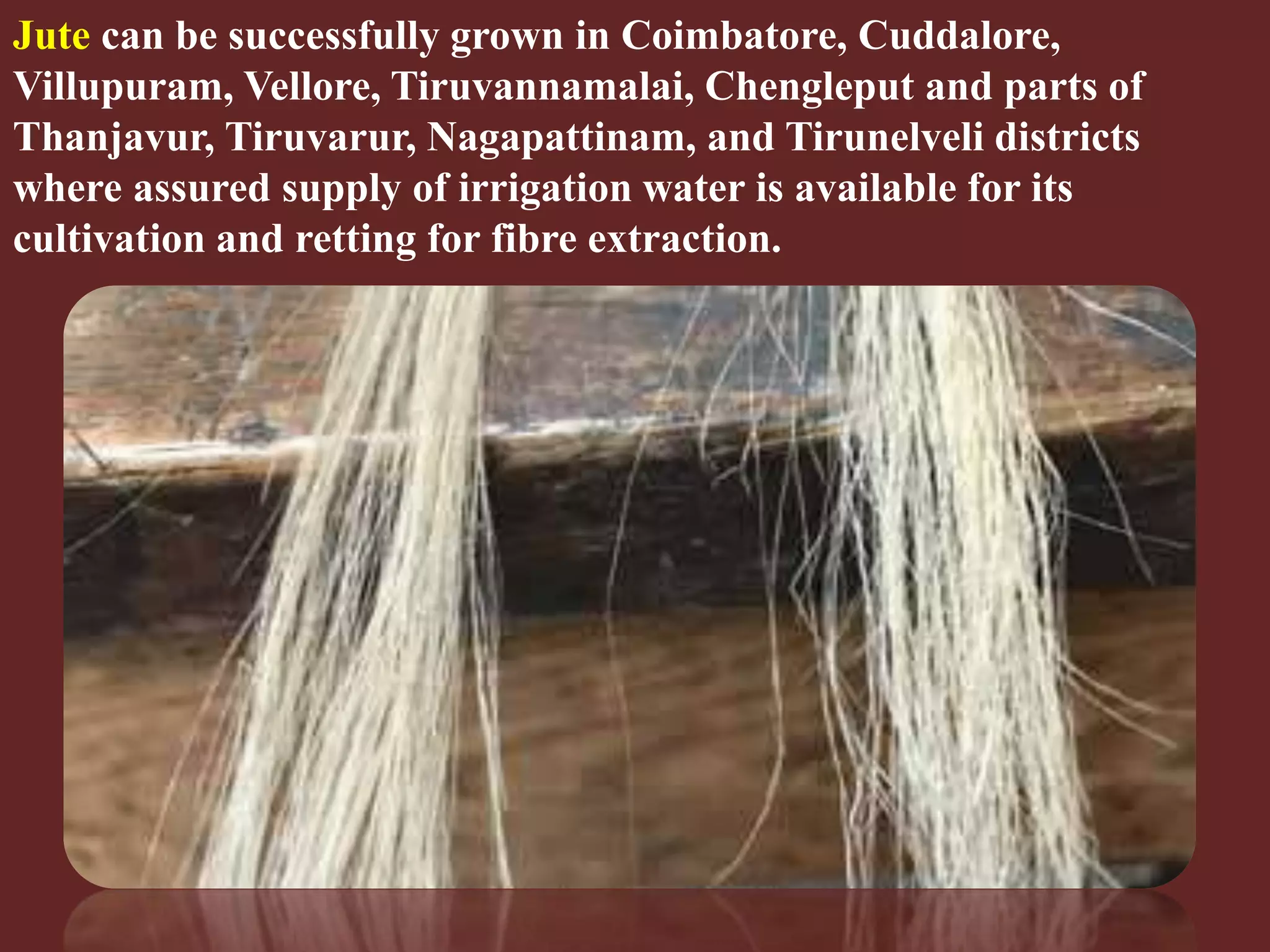 Slide 26