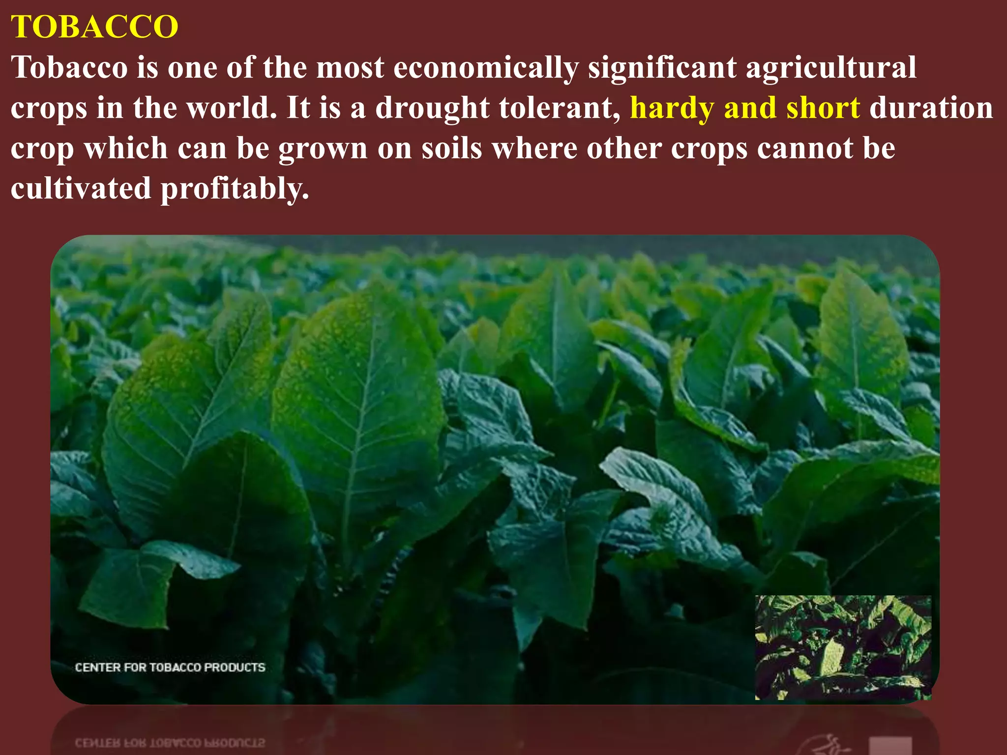 Slide 27