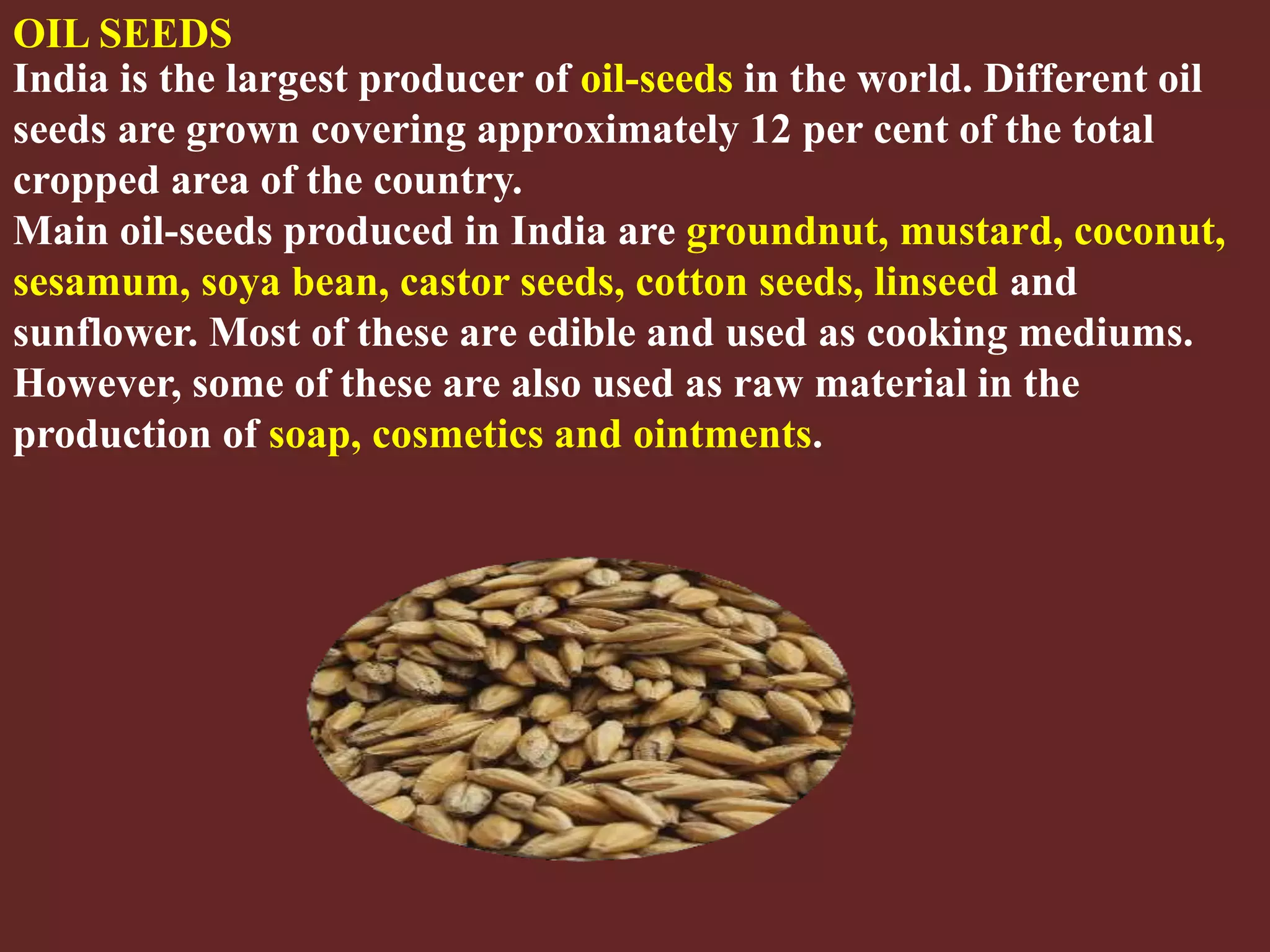Slide 28