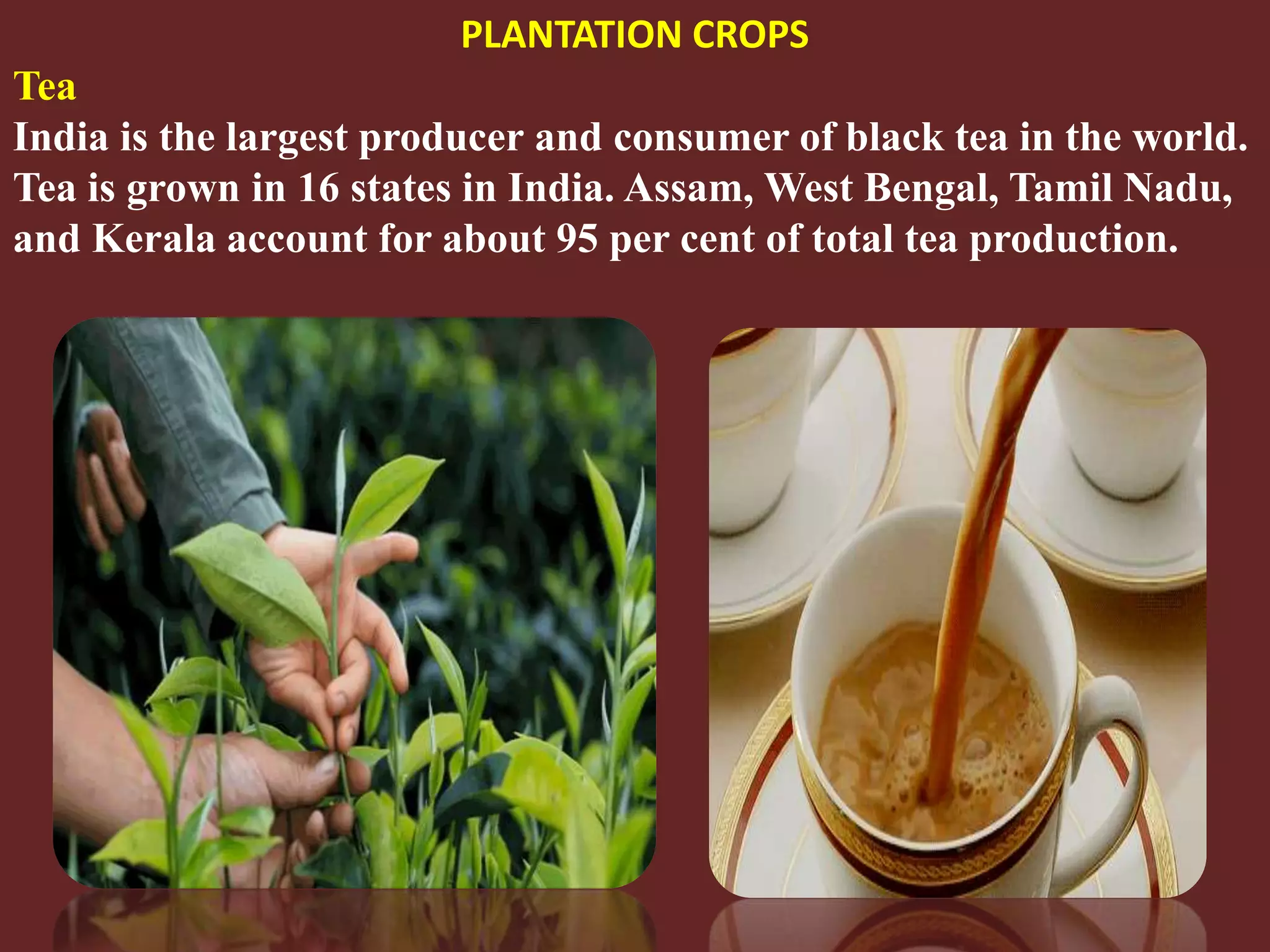 Slide 31