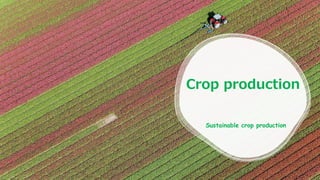 Crop production
Sustainable crop production
 