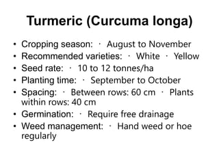 Turmeric (Curcuma longa)
• Cropping season: August to November
• Recommended varieties: White Yellow
• Seed rate: 10 to 12 tonnes/ha
• Planting time: September to October
• Spacing: Between rows: 60 cm Plants
within rows: 40 cm
• Germination: Require free drainage
• Weed management: Hand weed or hoe
regularly
 