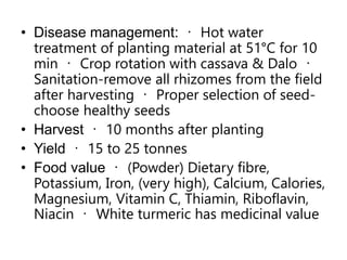 • Disease management: Hot water
treatment of planting material at 51°C for 10
min Crop rotation with cassava & Dalo
Sanitation-remove all rhizomes from the field
after harvesting Proper selection of seed-
choose healthy seeds
• Harvest 10 months after planting
• Yield 15 to 25 tonnes
• Food value (Powder) Dietary fibre,
Potassium, Iron, (very high), Calcium, Calories,
Magnesium, Vitamin C, Thiamin, Riboflavin,
Niacin White turmeric has medicinal value
 