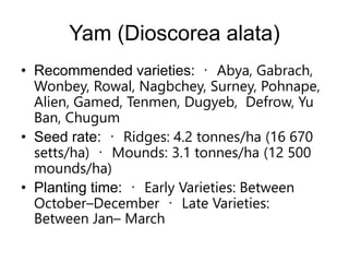Yam (Dioscorea alata)
• Recommended varieties: Abya, Gabrach,
Wonbey, Rowal, Nagbchey, Surney, Pohnape,
Alien, Gamed, Tenmen, Dugyeb, Defrow, Yu
Ban, Chugum
• Seed rate: Ridges: 4.2 tonnes/ha (16 670
setts/ha) Mounds: 3.1 tonnes/ha (12 500
mounds/ha)
• Planting time: Early Varieties: Between
October–December Late Varieties:
Between Jan– March
 