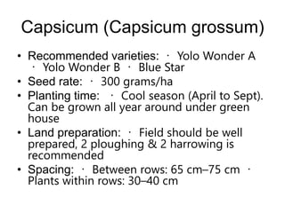 Capsicum (Capsicum grossum)
• Recommended varieties: Yolo Wonder A
Yolo Wonder B Blue Star
• Seed rate: 300 grams/ha
• Planting time: Cool season (April to Sept).
Can be grown all year around under green
house
• Land preparation: Field should be well
prepared, 2 ploughing & 2 harrowing is
recommended
• Spacing: Between rows: 65 cm–75 cm
Plants within rows: 30–40 cm
 