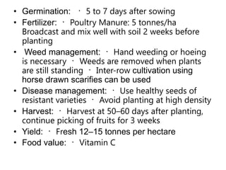 • Germination: 5 to 7 days after sowing
• Fertilizer: Poultry Manure: 5 tonnes/ha
Broadcast and mix well with soil 2 weeks before
planting
• Weed management: Hand weeding or hoeing
is necessary Weeds are removed when plants
are still standing Inter-row cultivation using
horse drawn scarifies can be used
• Disease management: Use healthy seeds of
resistant varieties Avoid planting at high density
• Harvest: Harvest at 50–60 days after planting,
continue picking of fruits for 3 weeks
• Yield: Fresh 12–15 tonnes per hectare
• Food value: Vitamin C
 