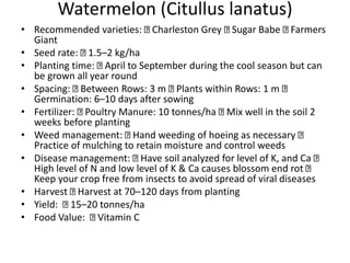 Watermelon (Citullus lanatus)
• Recommended varieties: Charleston Grey Sugar Babe Farmers
Giant
• Seed rate: 1.5–2 kg/ha
• Planting time: April to September during the cool season but can
be grown all year round
• Spacing: Between Rows: 3 m Plants within Rows: 1 m
Germination: 6–10 days after sowing
• Fertilizer: Poultry Manure: 10 tonnes/ha Mix well in the soil 2
weeks before planting
• Weed management: Hand weeding of hoeing as necessary
Practice of mulching to retain moisture and control weeds
• Disease management: Have soil analyzed for level of K, and Ca
High level of N and low level of K & Ca causes blossom end rot
Keep your crop free from insects to avoid spread of viral diseases
• Harvest Harvest at 70–120 days from planting
• Yield: 15–20 tonnes/ha
• Food Value: Vitamin C
 