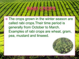 Crop production and management | PPTX