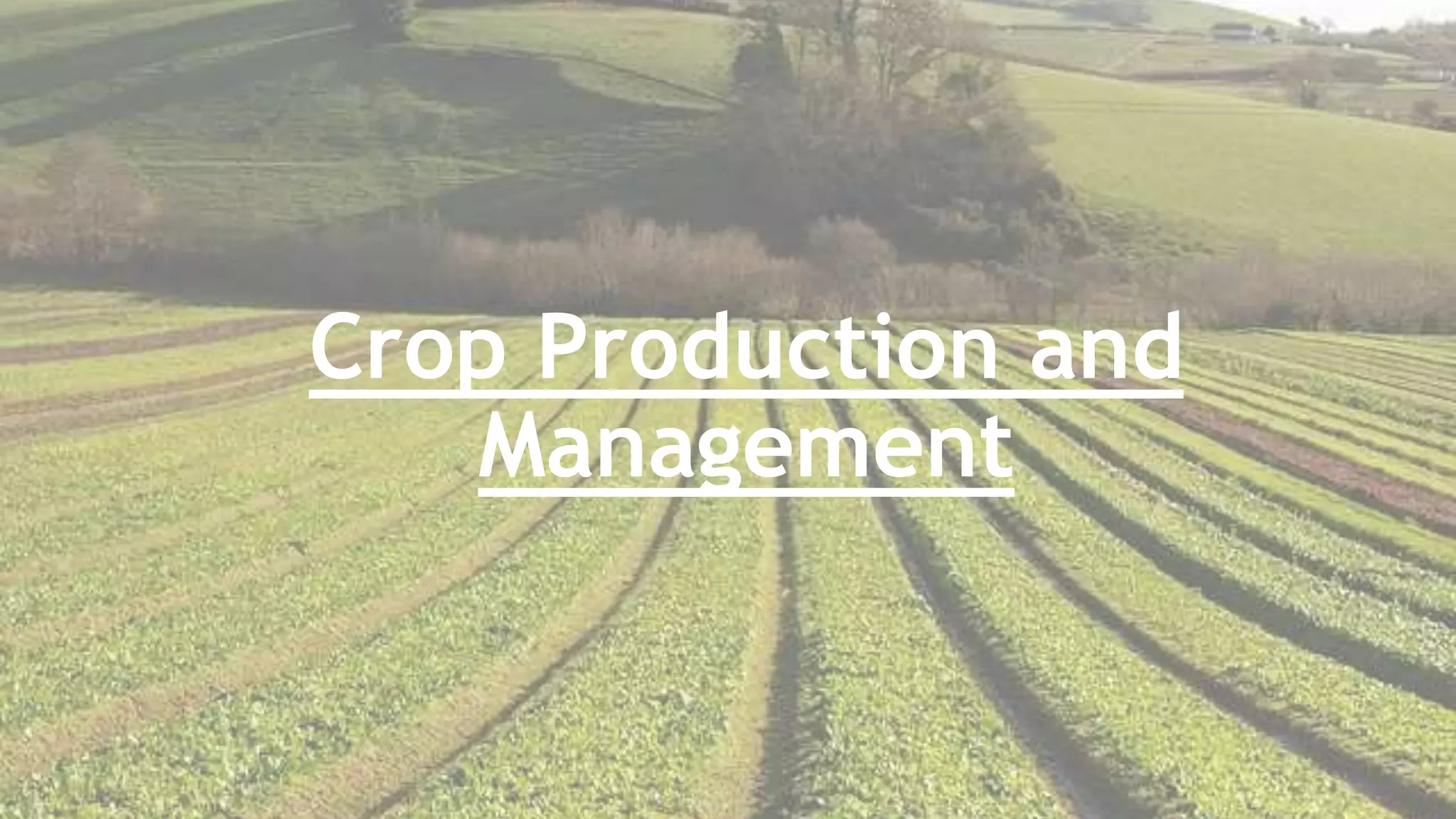 Crop production and management PPT