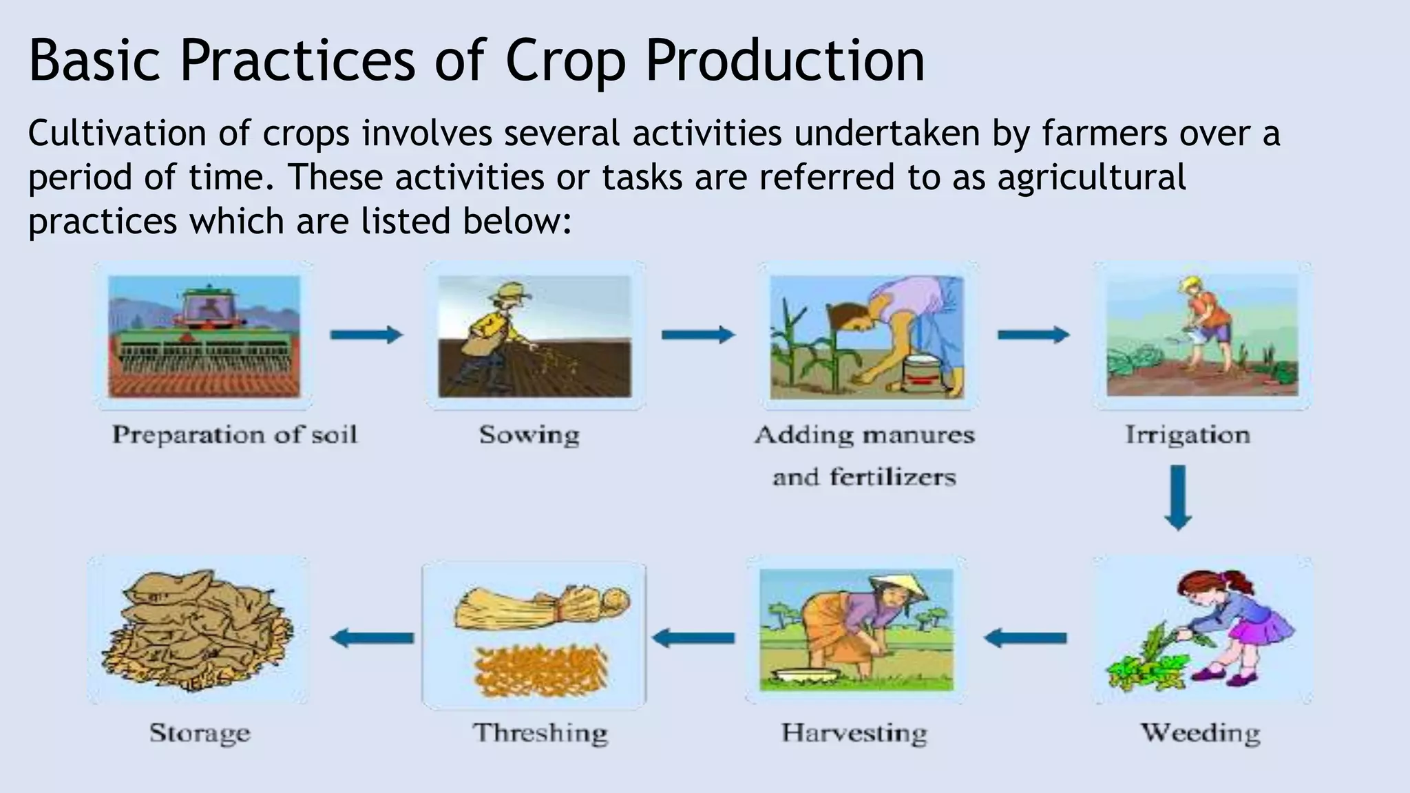Crop production and management PPT