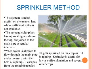 Crop production and management | PPTX