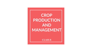 CROP
PRODUCTION
AND
MANAGEMENT
CLASS 8
 