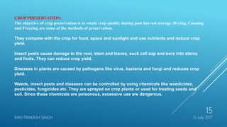 15 July 2017RAVI PRAKASH SINGH
15
CROP PRESERVATION:
The objective of crop preservation is to retain crop quality during post harvest storage. Drying, Canning
and Freezing are some of the methods of preservation.
They compete with the crop for food, space and sunlight and use nutrients and reduce crop
yield.
Insect pests cause damage to the root, stem and leaves, suck cell sap and bore into stems
and fruits. They can reduce crop yield.
Diseases in plants are caused by pathogens like virus, bacteria and fungi and reduces crop
yield.
Weeds, insect pests and diseases can be controlled by using chemicals like weedicides,
pesticides, fungicides etc. They are sprayed on crop plants or used for treating seeds and
soil. Since these chemicals are poisonous, excessive use are dangerous.
 