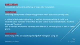 HARVESTING
Harvesting is cutting and gathering of crops after maturation.
THRESHING
Threshing is the process of separating grains or seeds from the cut crop (chaff).
It is done after harvesting the crop. It is either done manually by sickle or by a
machine called harvester or thresher. It is also carried out with the help of a machine
known as ‘Combine’.
This machine is a combined harvester and thresher. It harvests plants as well as cleans
grains.
WINNOWING
Winnowing is the process of separating chaff from grain using air
15 July 2017RAVI PRAKASH SINGH
16
 