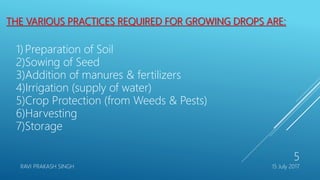 THE VARIOUS PRACTICES REQUIRED FOR GROWING DROPS ARE:
1) Preparation of Soil
2)Sowing of Seed
3)Addition of manures & fertilizers
4)Irrigation (supply of water)
5)Crop Protection (from Weeds & Pests)
6)Harvesting
7)Storage
15 July 2017RAVI PRAKASH SINGH
5
 