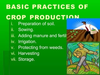 BASIC PRACTICES OF
CROP PRODUCTION
i. Preparation of soil.
ii. Sowing.
iii. Adding manure and fertilisers.
iv. Irrigation.
v. Protecting from weeds.
vi. Harvesting
vii. Storage.
 