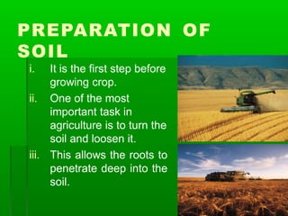 PREPARATION OF
SOIL
iii.
i. It is the first step before
growing crop.
ii. One of the most
important task in
agriculture is to turn the
soil and loosen it.
This allows the roots to
penetrate deep into the
soil.
 