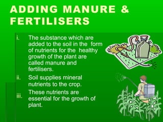 ADDING MANURE &
FERTILISERS
iii.
i. The substance which are
added to the soil in the form
of nutrients for the healthy
growth of the plant are
called manure and
fertilisers.
ii. Soil supplies mineral
nutrients to the crop.
These nutrients are
essential for the growth of
plant.
 