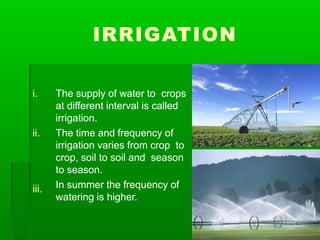 IRRIGATION
iii.
i. The supply of water to crops
at different interval is called
irrigation.
ii. The time and frequency of
irrigation varies from crop to
crop, soil to soil and season
to season.
In summer the frequency of
watering is higher.
 
