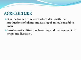 AGRICULTURE
It is the branch of science which deals with the
productions of plants and raising of animals useful to
man
Involves soil cultivation, breeding and management of
crops and livestock.
 