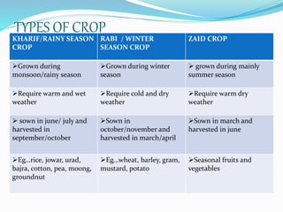TYPES OF CROP
KHARIF/RAINY SEASON
CROP
RABI / WINTER
SEASON CROP
ZAID CROP
Grown during
monsoon/rainy season
Grown during winter
season
 grown during mainly
summer season
Require warm and wet
weather
Require cold and dry
weather
Require warm dry
weather
 sown in june/ july and
harvested in
september/october
Sown in
october/november and
harvested in march/april
Sown in march and
harvested in june
Eg…rice, jowar, urad,
bajra, cotton, pea, moong,
groundnut
Eg…wheat, barley, gram,
mustard, potato
Seasonal fruits and
vegetables
 