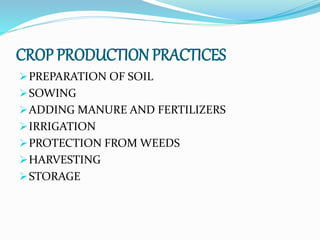 CROP PRODUCTION PRACTICES
PREPARATION OF SOIL
SOWING
ADDING MANURE AND FERTILIZERS
IRRIGATION
PROTECTION FROM WEEDS
HARVESTING
STORAGE
 