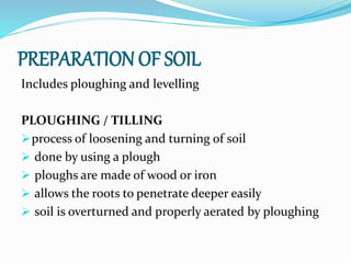 PREPARATION OF SOIL
Includes ploughing and levelling
PLOUGHING / TILLING
process of loosening and turning of soil
 done by using a plough
 ploughs are made of wood or iron
 allows the roots to penetrate deeper easily
 soil is overturned and properly aerated by ploughing
 