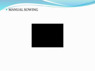  MANUAL SOWING
 