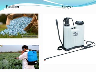 Fertilizer Sprayer
 