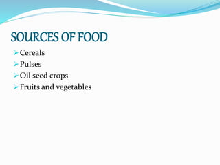 SOURCES OF FOOD
Cereals
Pulses
Oil seed crops
Fruits and vegetables
 